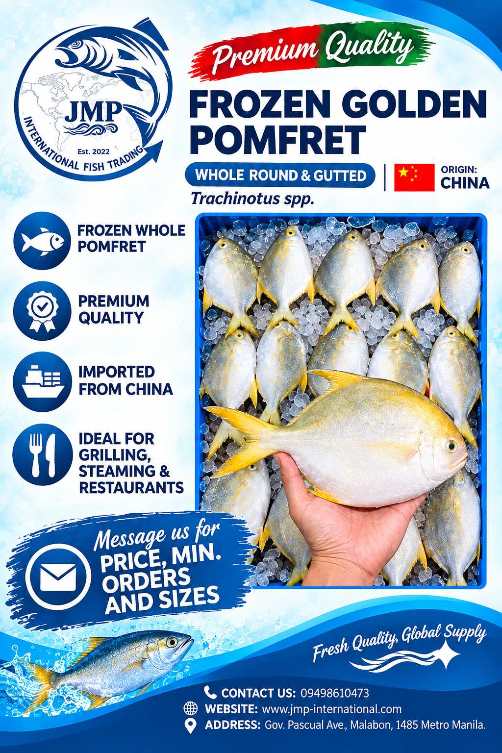 Frozen Golden Pomfret